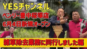 YESチャンネル　ベンリー豊中桜塚店オープン直前　雑草除去業務に同行しました編